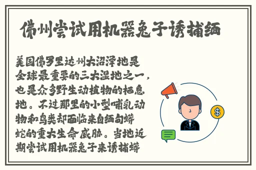 爷爷的东西又长又黑怎么形容